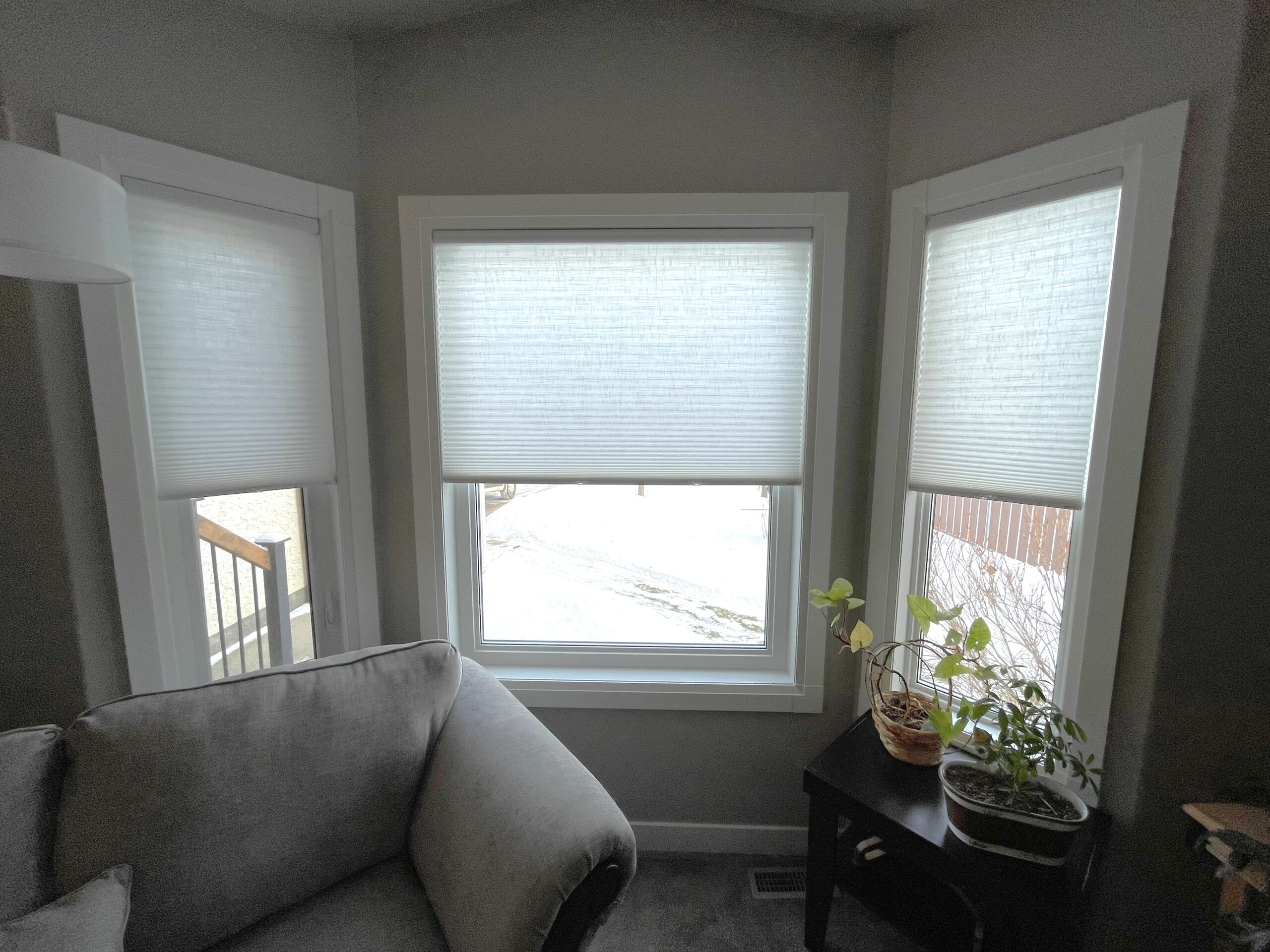Splendor Whisper White 1